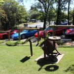 IMG_7784 (May 28, 2024)